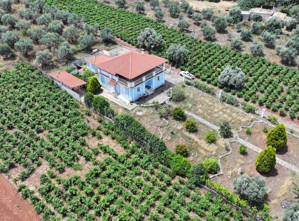 Πετροβούνι, Western Greece 25100