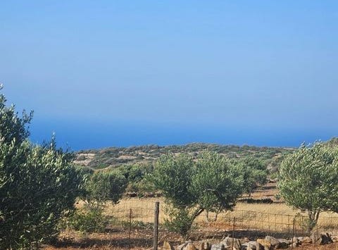 Agios Nikolaos, Lasithi 72053