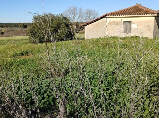 Gargaliani, Peloponnese 24400