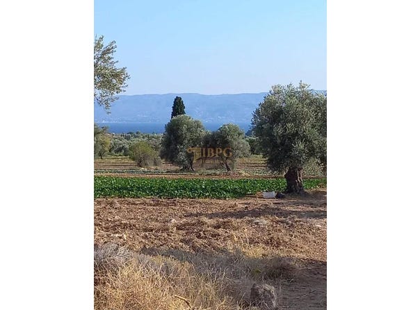 Magoula, Central Greece 34008