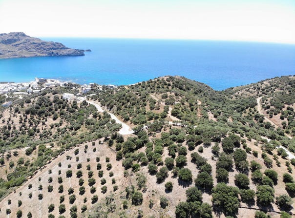 Sellia, Crete 74060
