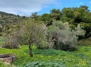Aegina, Sterea Ellás-Évvoia