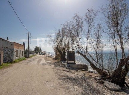 Agria, Magnesia