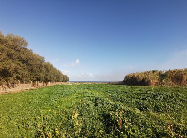 Tavronítis, Crete 73006