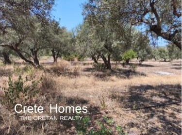 Milatos, Crete 72400