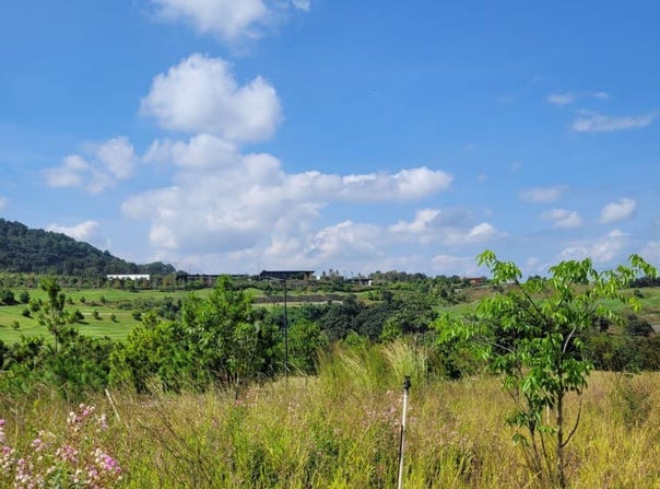 El Pulte Golf, Zona 24, Zona 24, Guatemala, Zona 24, Guatemala