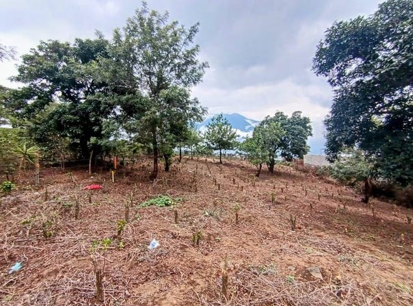 5983 San Pedro el Alto, San Pedro Las Huertas, Sacatepéquez, San Pedro Las Huertas, Sacatepéquez