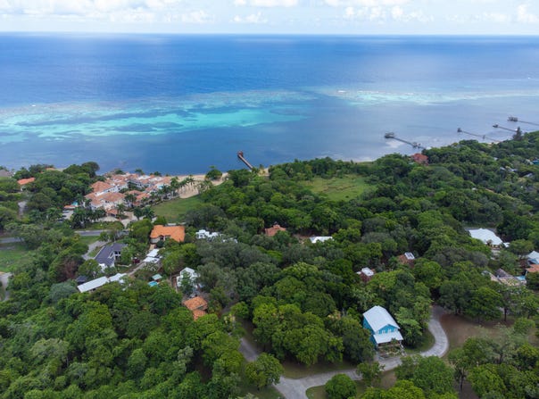 in Sandy Bay, Roatan, Islas de la Bahia
