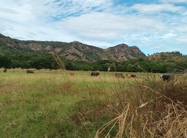 Aldea de Pavana, Choluteca, Choluteca., Choluteca, Choluteca, Choluteca, Choluteca