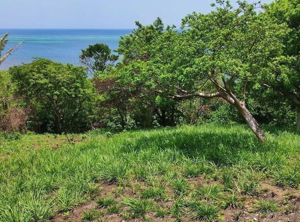 Roatan, Islas de la Bahia
