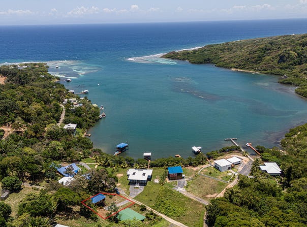 Mariposa, Santos Guardiola, Roatan, Islas de la Bahia