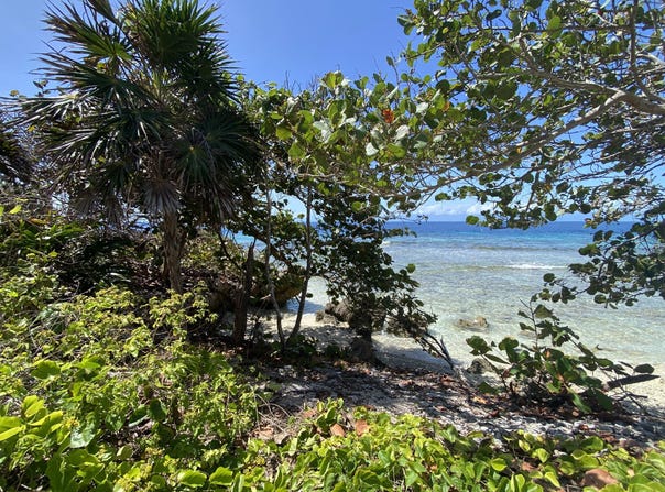 Tropical Privacy South Shore, Oceanfront Tranquility Meets, Utila, utila, Islas de la bahía, utila, Islas de la bahía