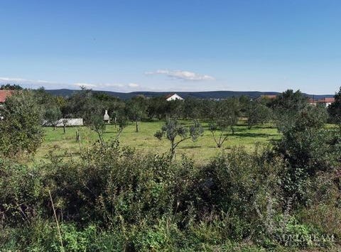 Dobropoljana, Zadarsko-kninska 23262