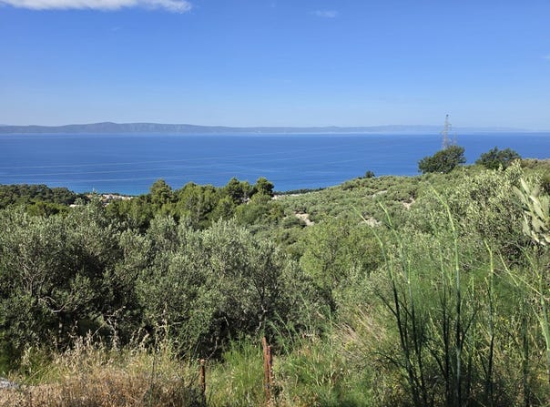 Tučepi, Split-Dalmatia County 21325