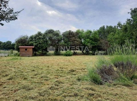 Ližnjan, Istarska