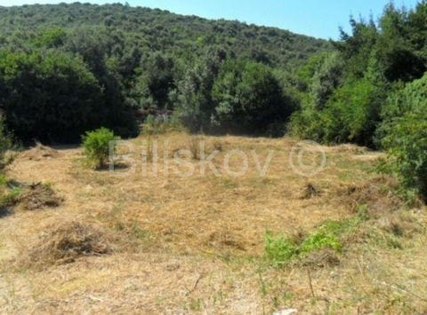 Janjina, Dubrovacko-neretvanska 20246