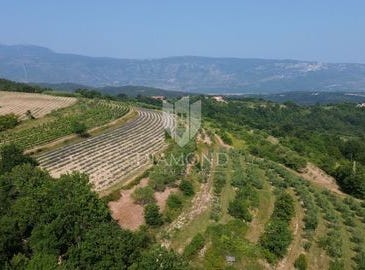 Pićan, Istarska