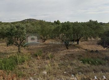 Sibenik, Sibenska