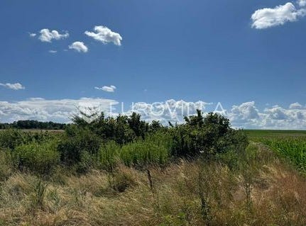 Osijek, Osjecko-baranjska