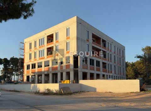 Zadar, Zadarsko-kninska
