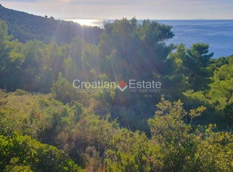 Stari Grad, Split-Dalmatia County 21460
