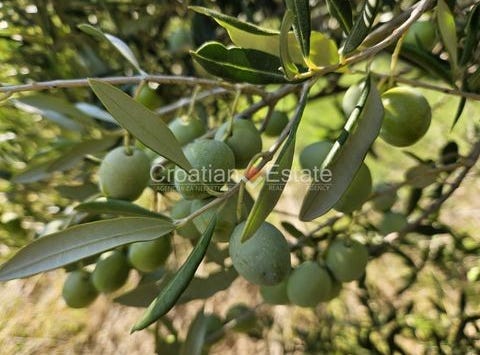 Donje Selo, Split-Dalmatia County 21430