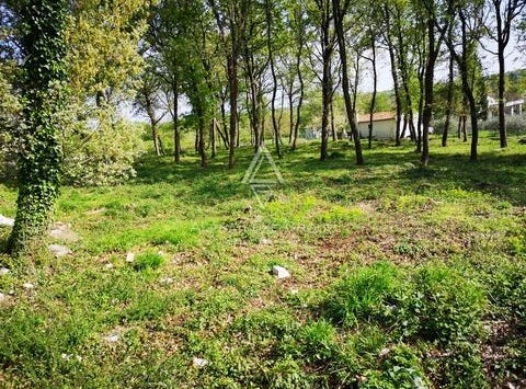 Tinjan, Istarska
