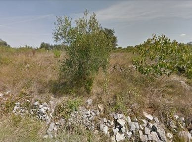 Petrčane, Zadarsko-kninska 23231