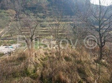 Omiš, Splitsko-dalmatinska 21252
