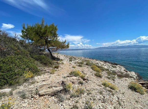 Nečujam, Split-Dalmatia County 21430