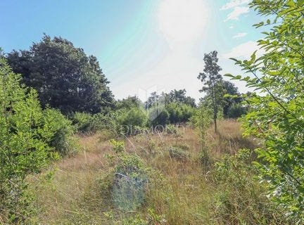 Kanfanar, Istarska