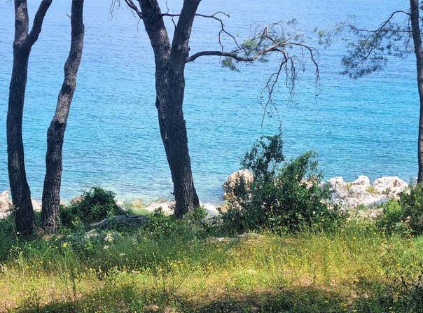 Jelsa, Split-Dalmatia County 21465
