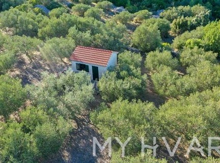 Stari grad, Splitsko-dalmatinska 21465
