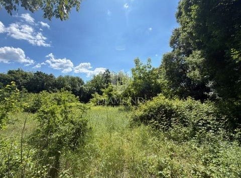 Barban, Istarska
