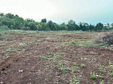 Ližnjan, Istarska