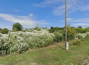 Osijek, Osjecko-baranjska 31226