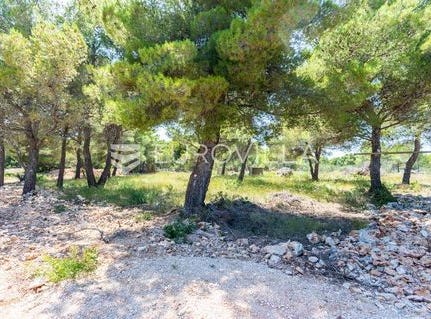 Brac, Splitsko-dalmatinska