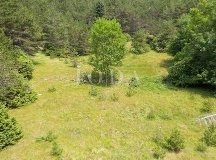 Senj, Licko-senjska