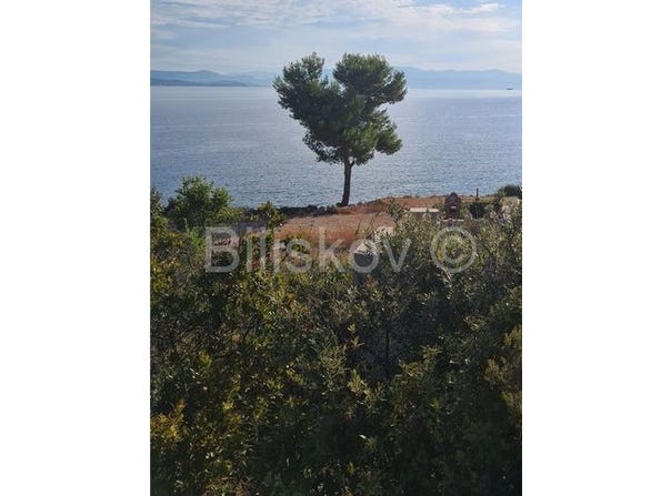 Brac, Splitsko-dalmatinska 21430