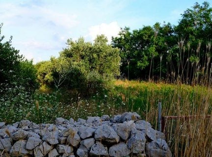 Nin, Zadarsko-kninska