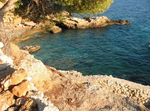 Hvar, Splitsko-dalmatinska 21450