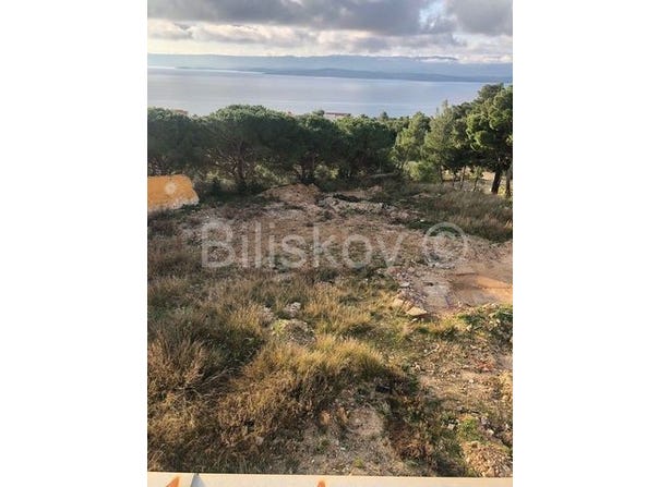 Bol, Splitsko-dalmatinska 21420