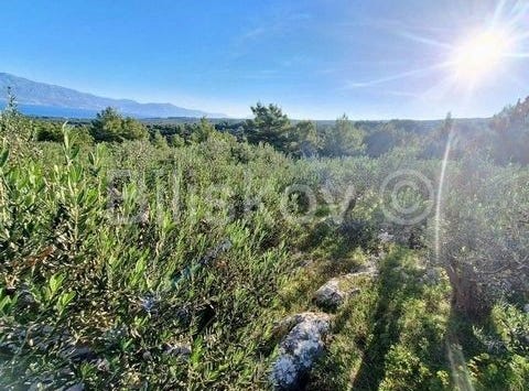 Supetar, Splitsko-dalmatinska 21400