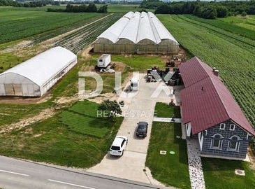 Pitomača, Viroviticko-podravska