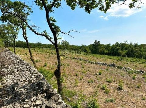 Raša, Istarska