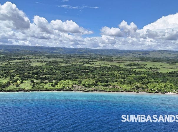 Kodi, Kodi, East Nusa Tenggara