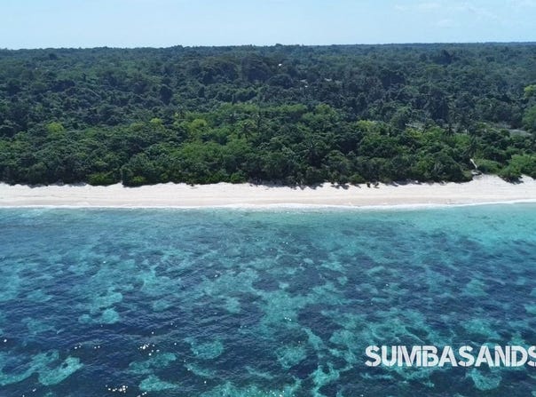 Kodi, Kodi, East Nusa Tenggara