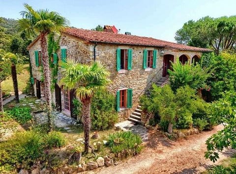 sassetta, Toscana|Tuscany
