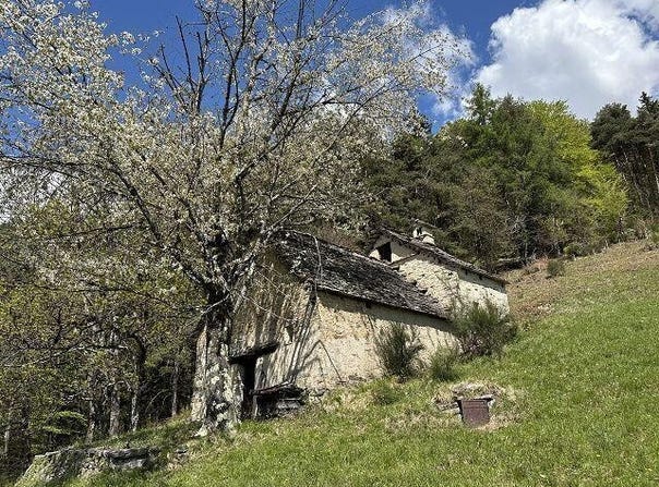 Craveggia, Piedmont 28034
