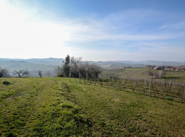 Regione Ceirole, Canelli, Piedmont 14053